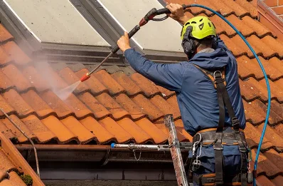 Démoussage et hydrofuge de toiture à Lamongerie
